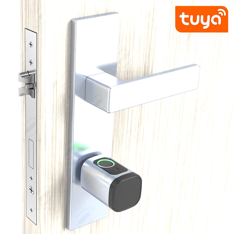 V1 (8) smart lock cylinder